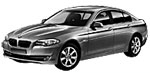 BMW F10 U251E Fault Code